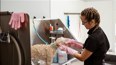 خدمة رعاية الحيوانات الأليفة والتنظيف المنزلي لها