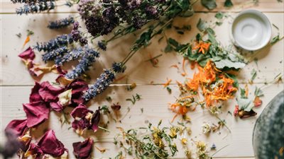 مشروع محل ورد صغير للزهور الطبيعية والمجففة