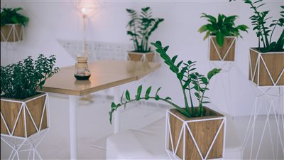 ومضة الاقتصادي