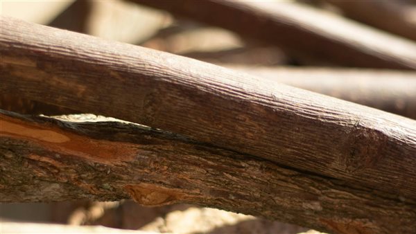 ومضة الاقتصادي