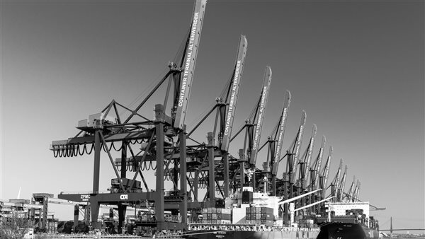 ومضة الاقتصادي