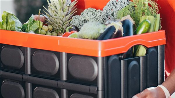 ومضة الاقتصادي