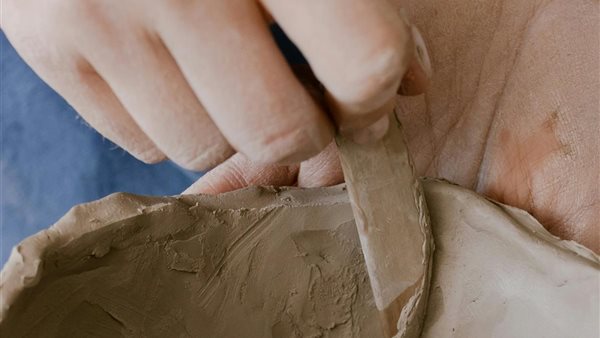 ومضة الاقتصادي