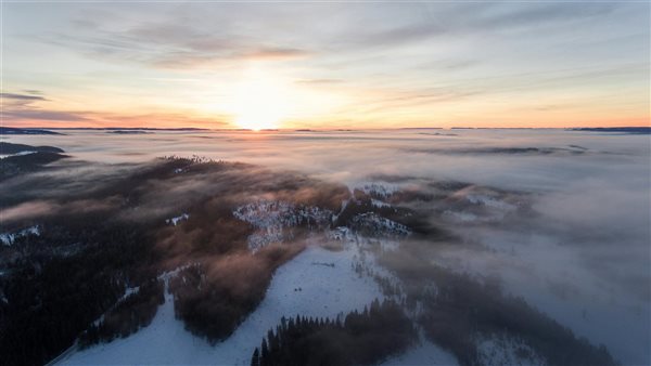 ومضة الاقتصادي