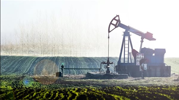 ومضة الاقتصادي