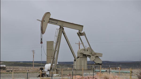 ومضة الاقتصادي