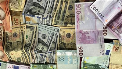 تحذير أوروبي: المركزي الأوروبي يدعو مصارف منطقة اليورو لتعزيز احتياطياتها من السيولة الدولارية