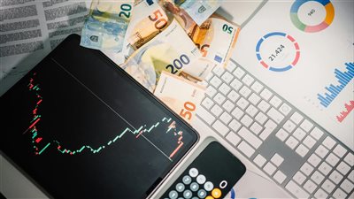 ومضة الاقتصادي