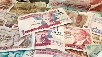 ومضة الاقتصادي