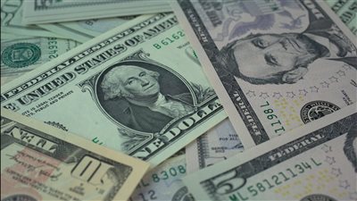 ومضة الاقتصادي