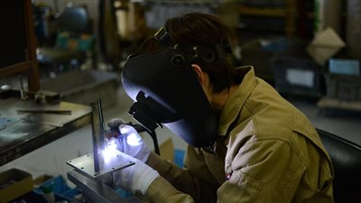 ومضة الاقتصادي