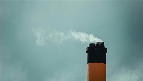 ومضة الاقتصادي