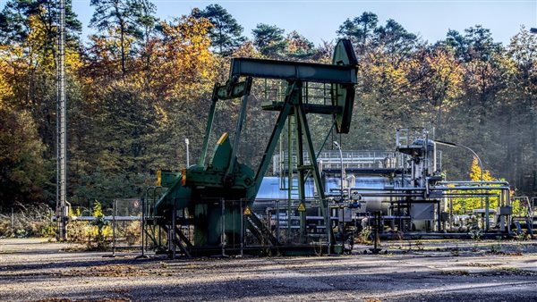 ومضة الاقتصادي