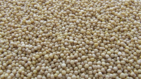 ومضة الاقتصادي