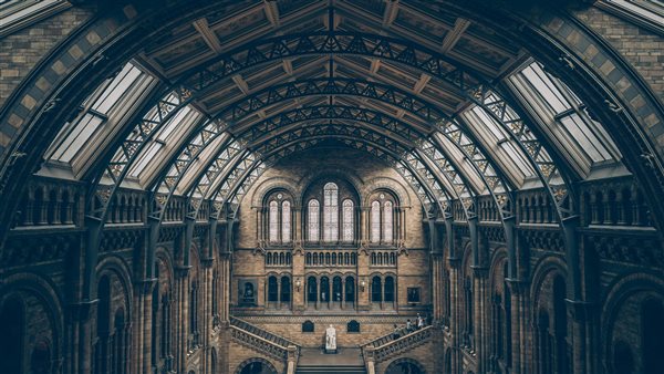 ومضة الاقتصادي