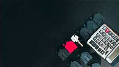 ومضة الاقتصادي