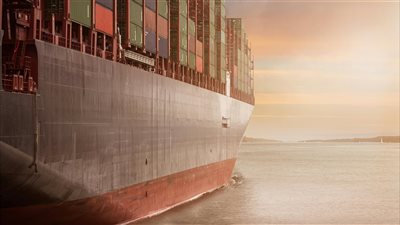 ومضة الاقتصادي