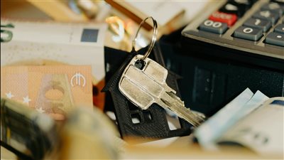 ومضة الاقتصادي