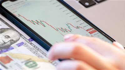 ومضة الاقتصادي