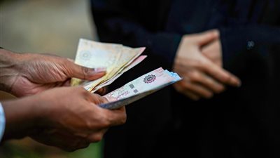 ومضة الاقتصادي