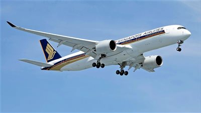 ومضة الاقتصادي