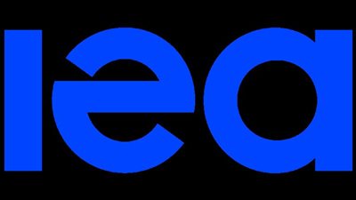 ومضة الاقتصادي