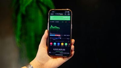 ومضة الاقتصادي