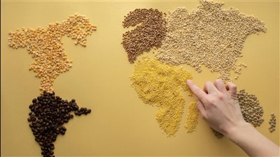 ومضة الاقتصادي