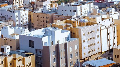 ومضة الاقتصادي