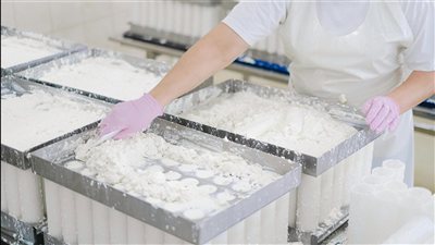 ومضة الاقتصادي