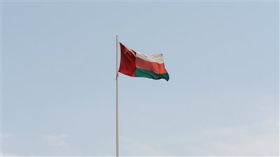 ومضة الاقتصادي