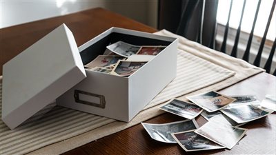 ومضة الاقتصادي