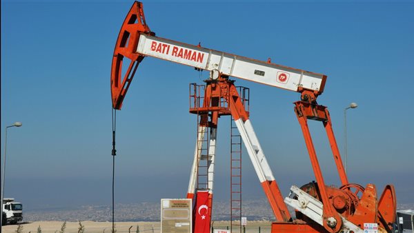 ومضة الاقتصادي