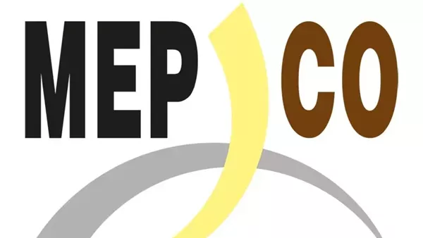 ومضة الاقتصادي