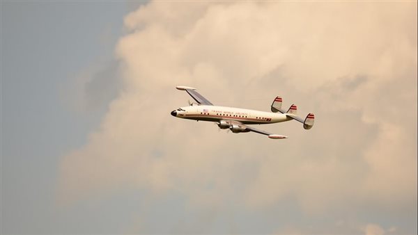 ومضة الاقتصادي