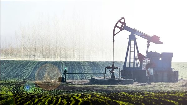 ومضة الاقتصادي