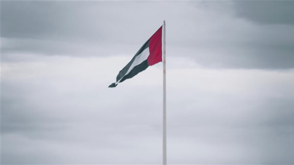 ومضة الاقتصادي