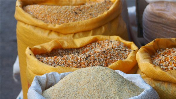 ومضة الاقتصادي