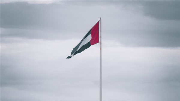 ومضة الاقتصادي