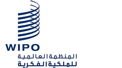 ومضة الاقتصادي