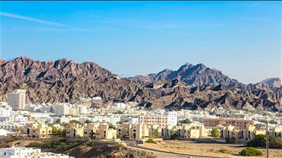 ومضة الاقتصادي