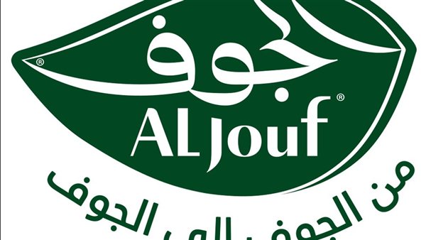 ومضة الاقتصادي