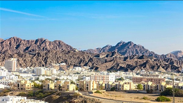 ومضة الاقتصادي
